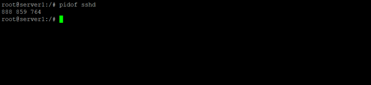 Múltiplos pids de um programa Linux