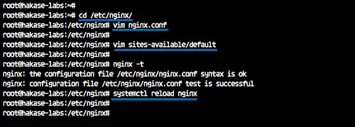 Riavvia Nginx e testa la configurazione