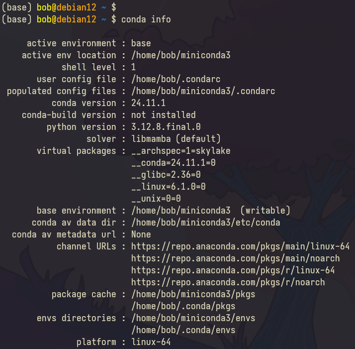 check conda info