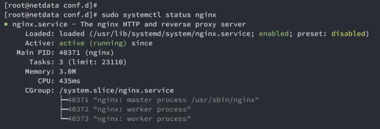 controlla nginx