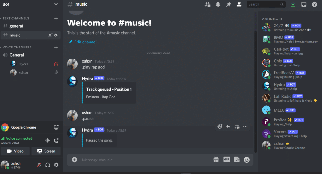 Hydra Discord Musik Bot