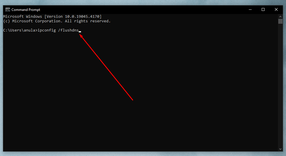 DNS 플러시