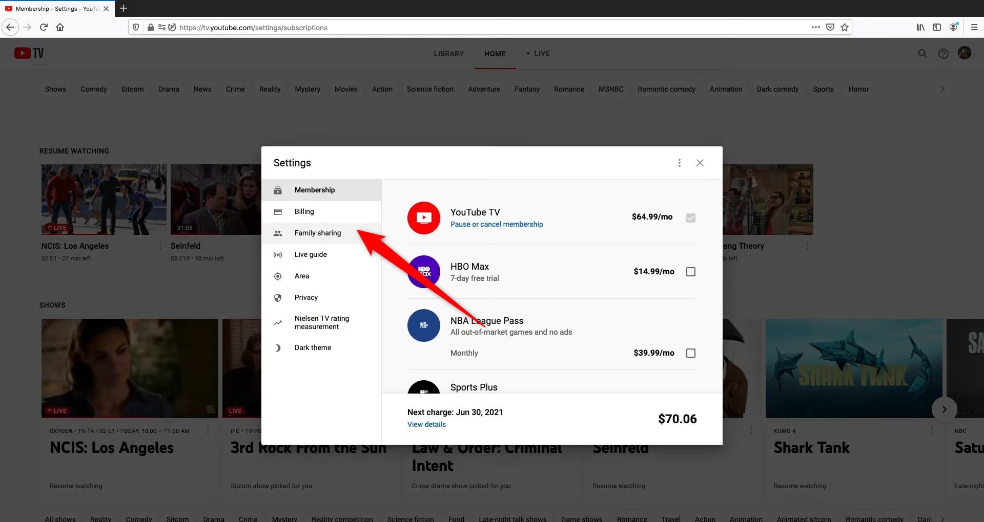 membri della famiglia youtube tv
