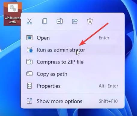 Lancer le fichier BAT pour la mise à jour de Windows