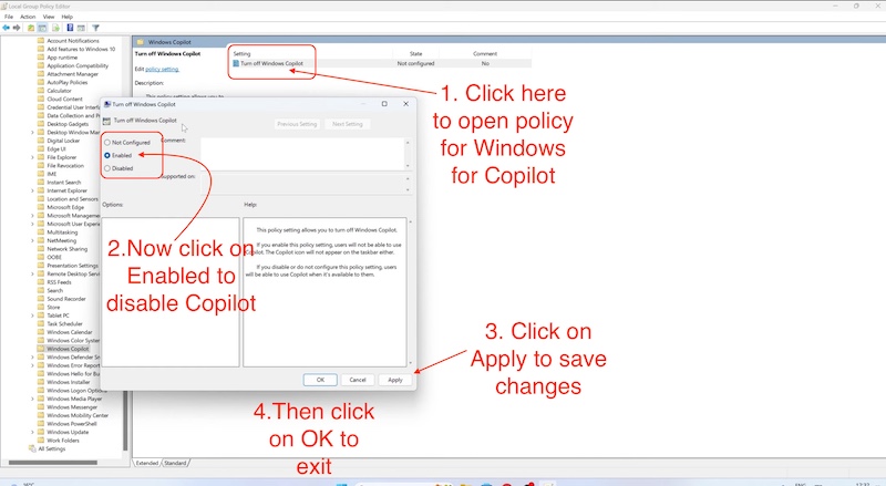 отключите windows copilot с помощью групповой политики