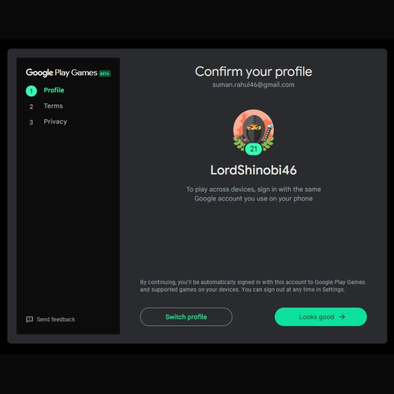 perfil do google play