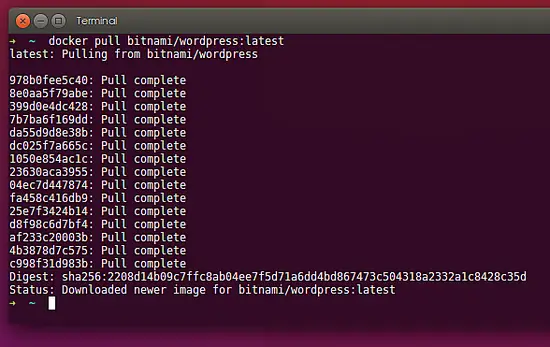 Télécharger l'image Docker.