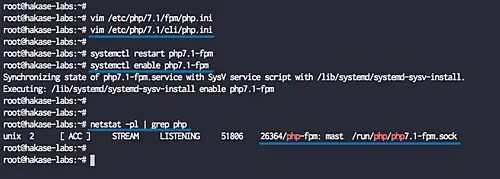 Controlla il socket PHP-FPM