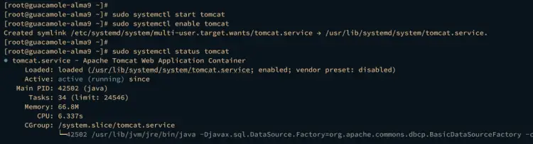 verify tomcat status