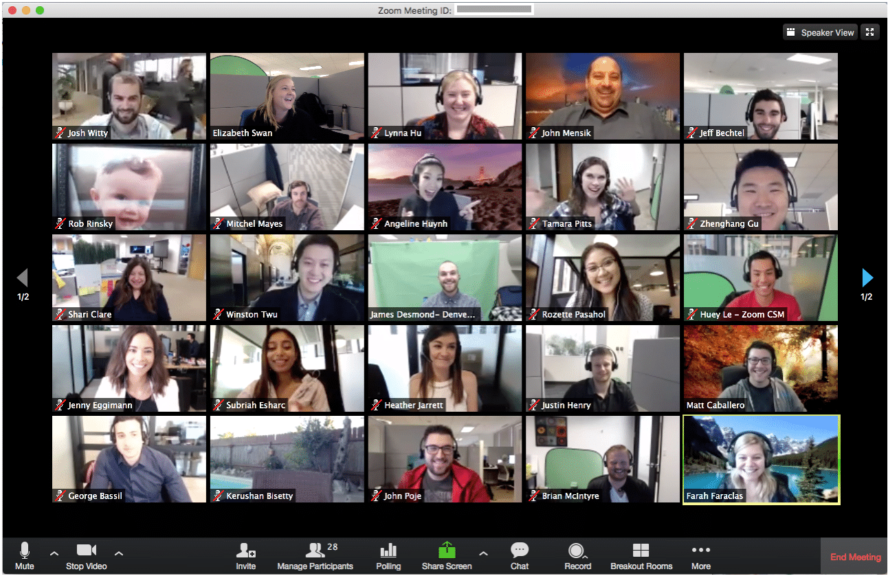 Zoom Meeting