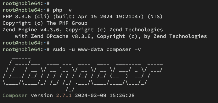 check php composer