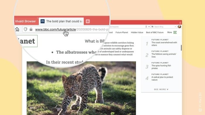 recorte de url del navegador vivaldi