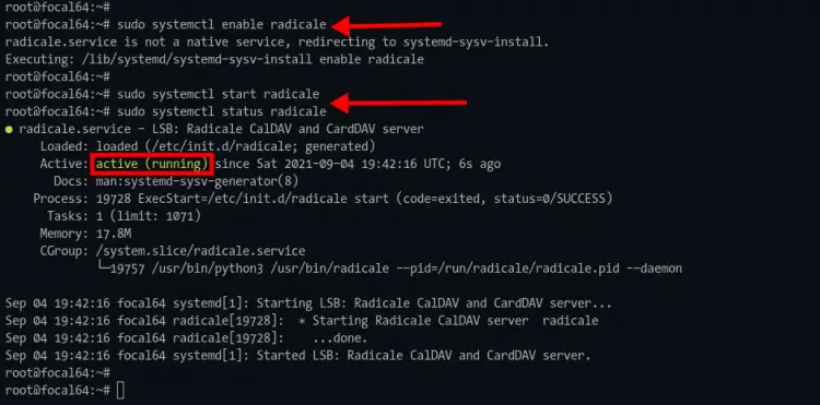 Iniciar e verificar status do serviço radicale