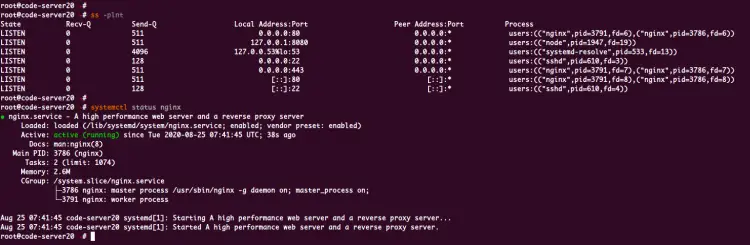 Visual Code Server를 위한 Nginx 리버스 프록시 설정