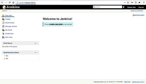 Testing Jenkins