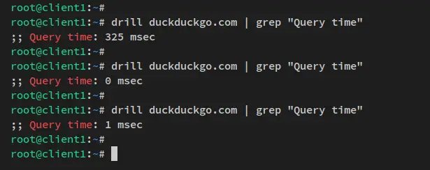 vérifier la mise en cache dns
