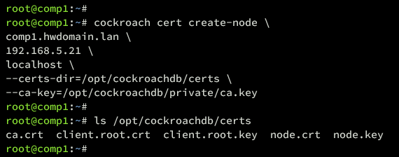 certificato node comp1