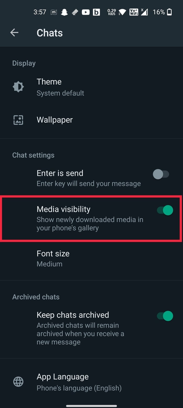 visibilidad de medios de whatsapp