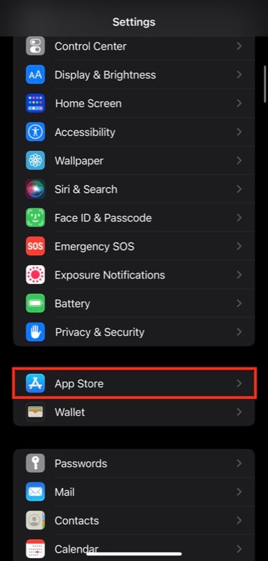 выбор магазина приложений на странице настроек iphone
