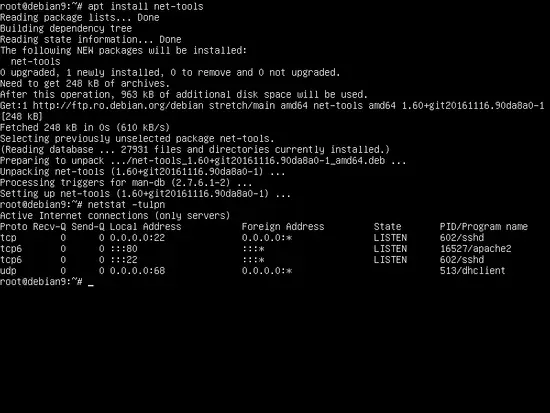Output del comando Netstat