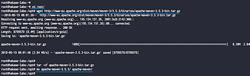 Apache Maven herunterladen