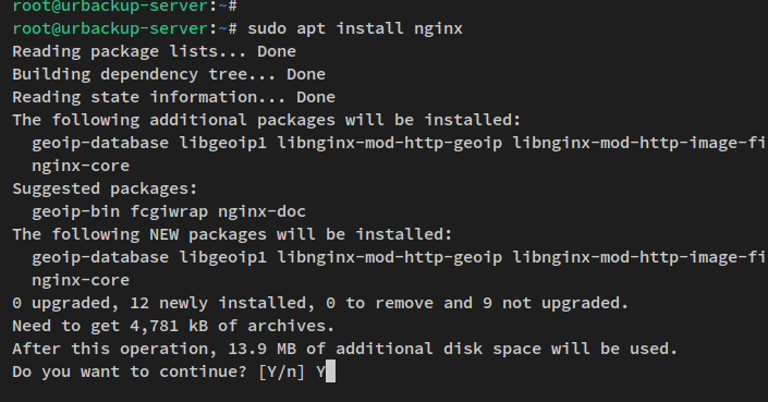 Nginx installieren
