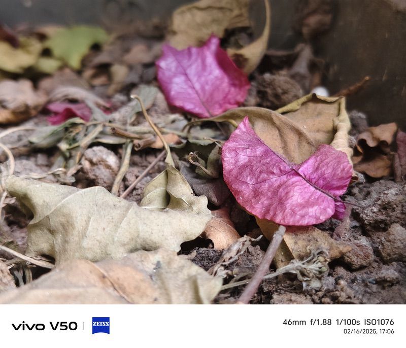 vivo v50 avis : le roi des caméras du segment intermédiaire ! - img 20250216 171133