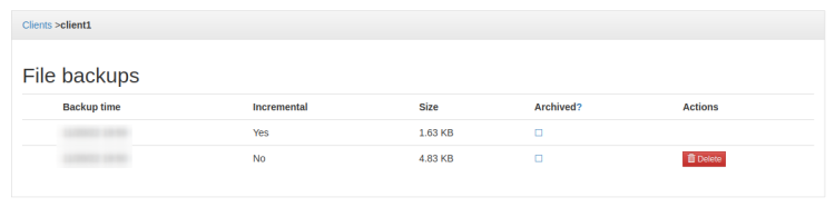 Backup-Details