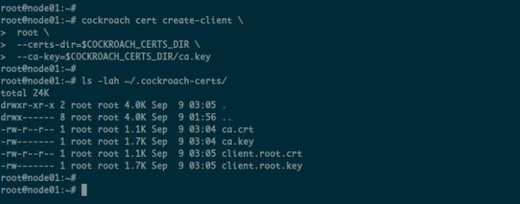 Genera certificato client CockroachDB