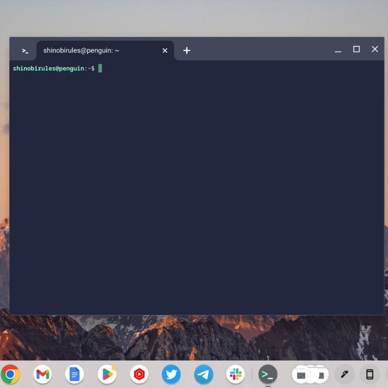 Linux-Terminal wurde geöffnet