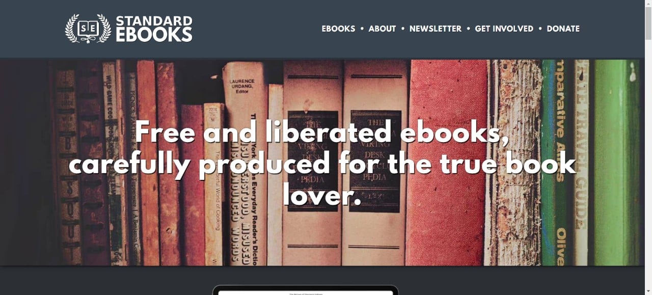 site web standard ebook