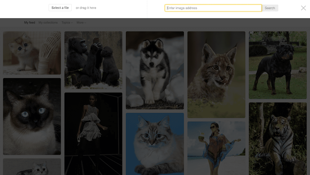 9 mejores servicios y aplicaciones de búsqueda inversa de imágenes - búsqueda de imágenes de yandex