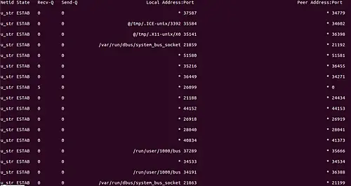 Comment utiliser la commande ss