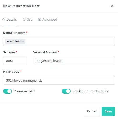 Host de Redirecionamento do Nginx Proxy Manager