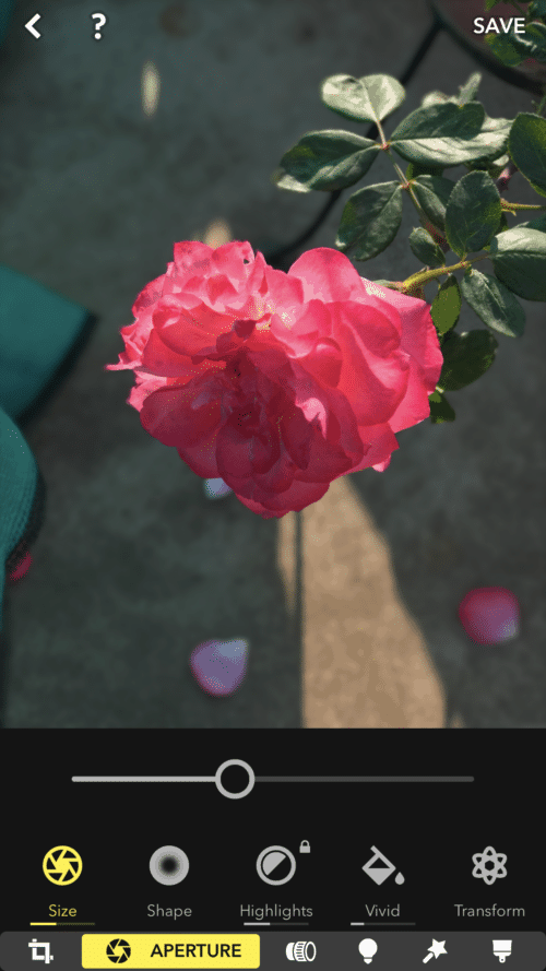come ottenere un effetto bokeh in 'modalità ritratto' su iphone più vecchi? - prima e1539327992918