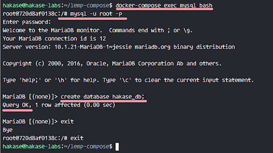 mysql 셸 도커 컨테이너에 접근