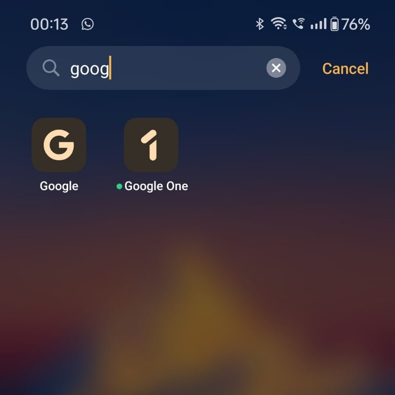 apri l'applicazione google