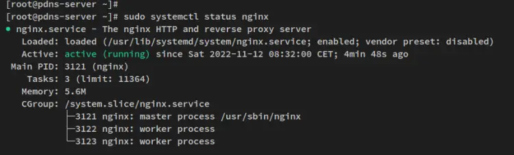 verificar nginx