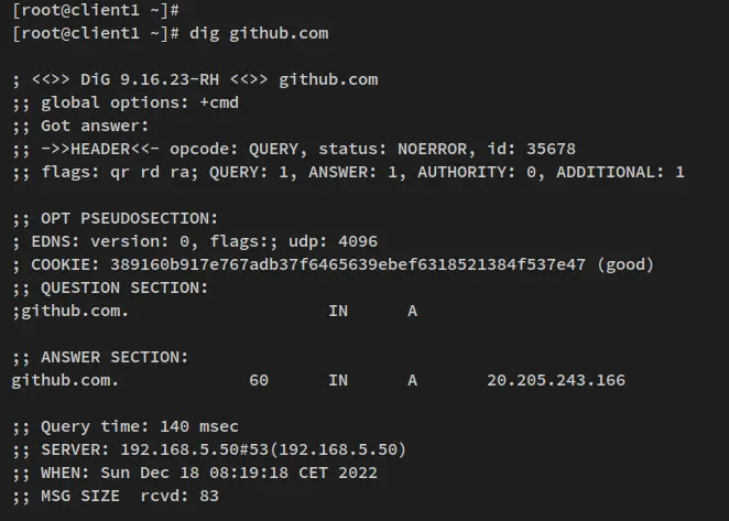 verificar dns internet