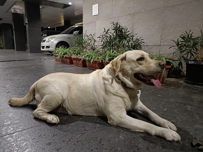 oneplus nord ce 2 camera review: ce for camera enthusiasts? - img20220223195801