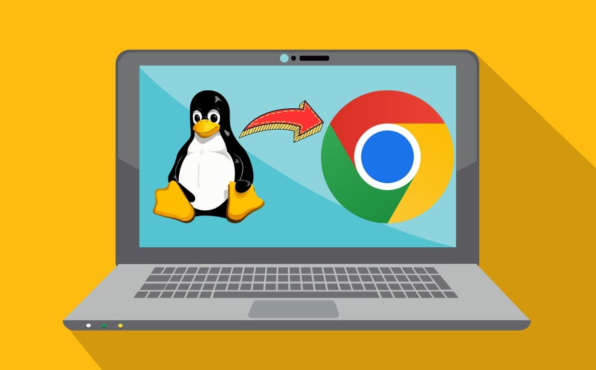 comment utiliser linux sur chromebook