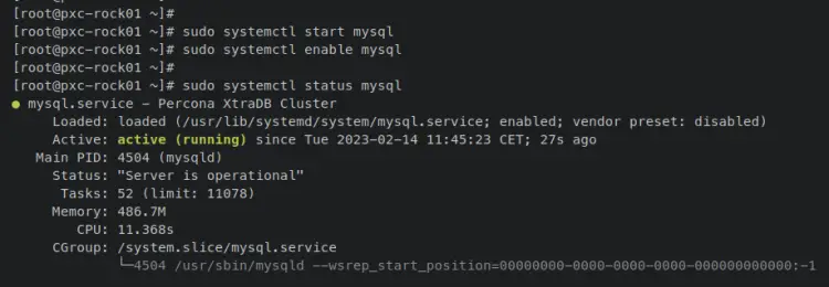 verifica servizio mysql