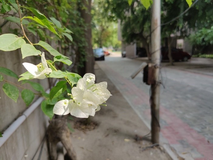 recensione oneplus 8 pro: grande momento per oneplus! - campione fotocamera oneplus 8 pro 7