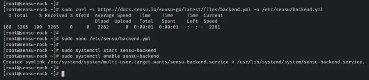 sensu backendを開始