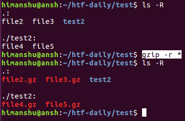compresser des fichiers de manière récursive en utilisant gzip