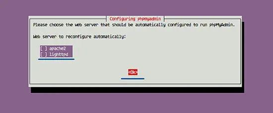 Non selezionare per configurare un server web