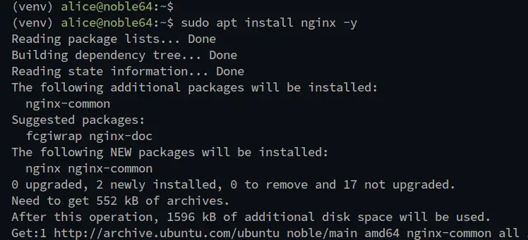 установка nginx