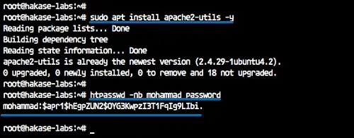 Installer et Configurer le Proxy Inverse Traefik