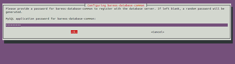Senha da aplicação MySQL