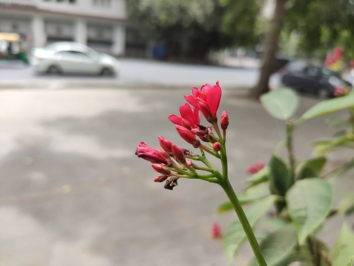 redmi k20 review: not pro, but still premium - img 20190714 112047